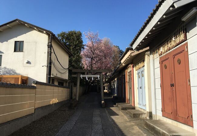 田端八幡神社 クチコミ アクセス 営業時間 田端 フォートラベル 田端八幡神社 クチコミ アクセス 営業時間 田端 フォートラベル