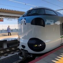 パンダデザインの特急くろしお