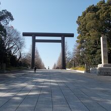 見ごたえがあります。