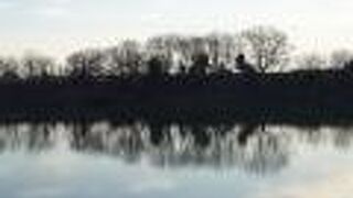 ジャングルのような光景でした