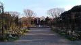 オフシーズンは寂しい