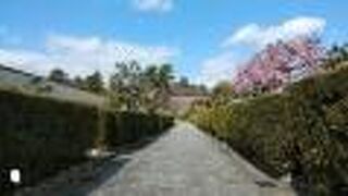 松阪城下の美しい街並み