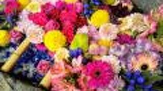 9月も花手水で再訪した『発寒神社』