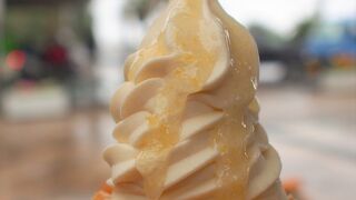  日向夏ソフトクリームがおいしい