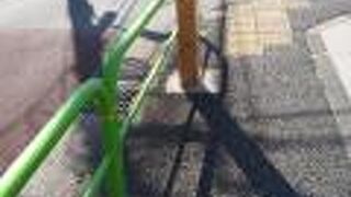 薬草園があった