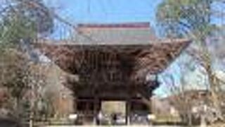 城巡りで九品仏（浄真寺）に行きました