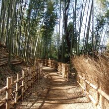 小机城址空堀を歩く