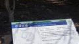 百舌鳥駅から近い