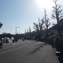 田安門近くからの公園の景観です。