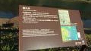 江戸城の桜田豪の堀沿いにある井戸です。