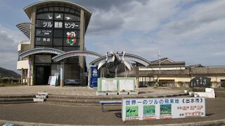 3月でも多くのナベヅルを観察することが出来ます。