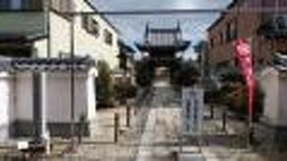 敷地が広く、重厚な建築物が多かった