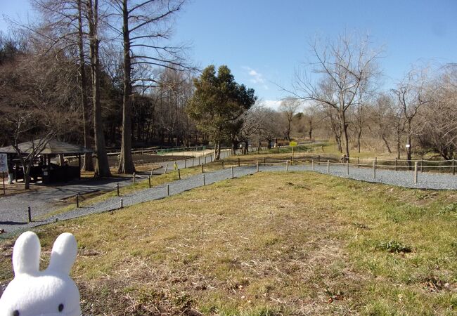 上尾丸山公園