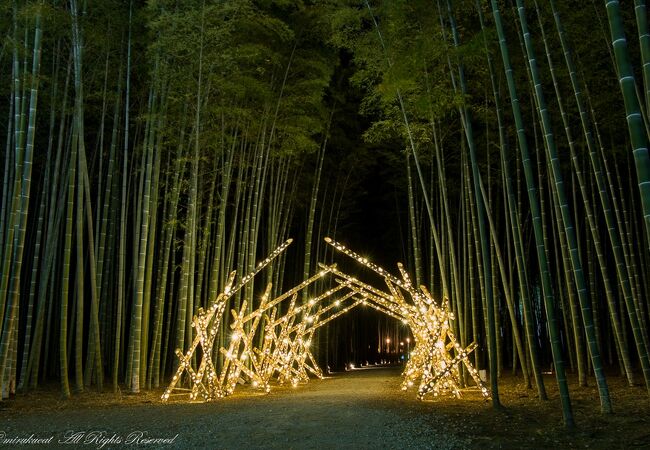 若山農場 クチコミ アクセス 営業時間 宇都宮 フォートラベル 若山農場 クチコミ アクセス 営業時間 宇都宮 フォートラベル