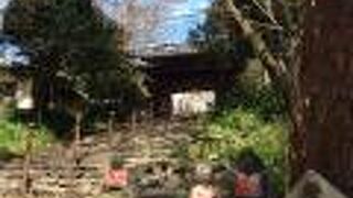 桜を見に行きました