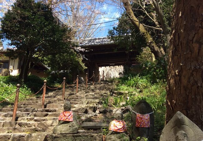 新年の贈り物 定光寺 クチコミ・アクセス・営業時間｜瀬戸【フォートラベル】 和書