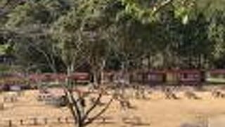 規模を縮小して開催中