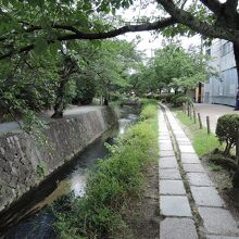 涼しさを感じる