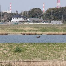 利根川の風景