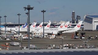 駐機している機体が多かったです