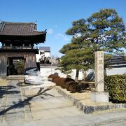 東福寺に向かう前に