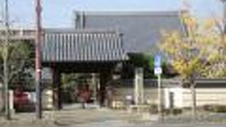 金龍寺と向かい合わせです。