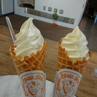 東京ミルクチーズ工場 ルミネ新宿店