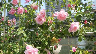 お気に入りのスポットです