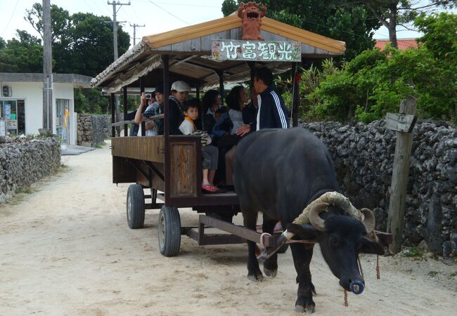 竹富観光センター クチコミ アクセス 営業時間 竹富島 フォートラベル