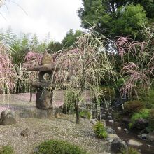 素敵なお庭ではありました