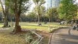 面積は広くて緑の多い素敵な公園