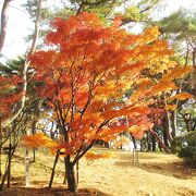 その名の通り紅葉の山でした。