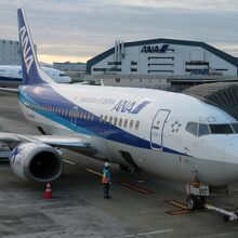 搭乗機737-500 JA307K。