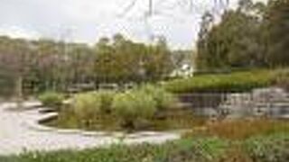 古くは千代の松原だったそうですね。