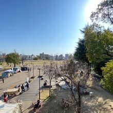 多くの方が、休日を楽しまれておられました。