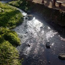 水面がキラキラ