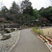 「大滝」を越えると池がありました