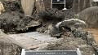 初代駐日英国大使の愛犬の墓地