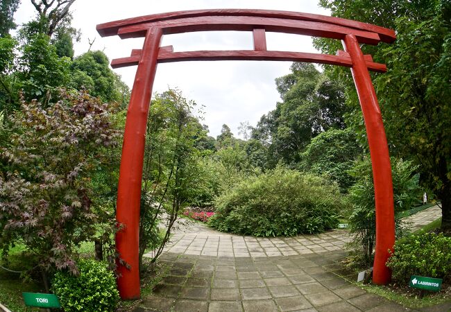 アマンチキール植物園