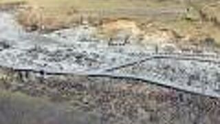 冬はニット帽がかわいいです。