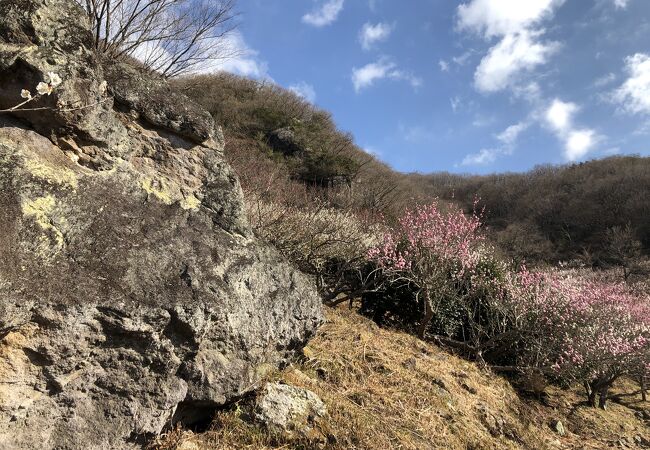 湯河原温泉のおすすめ観光スポット クチコミ人気ランキングtop 2ページ フォートラベル 神奈川県
