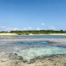 干潮時の海