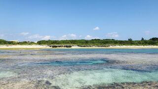 泳がなくても満喫