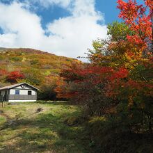 周りの紅葉