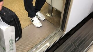 京都の観光に欠かせません。