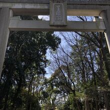 鳥居と参道