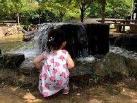 瀬板の森公園