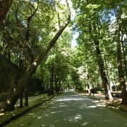 アルハンブラの森の遊歩道
