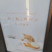 ねこねこ