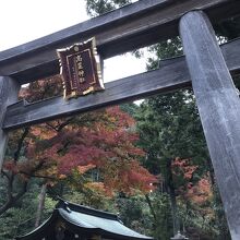 鳥居と紅葉